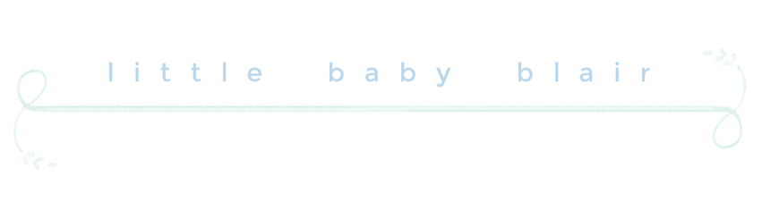 Little Blair Blog logo